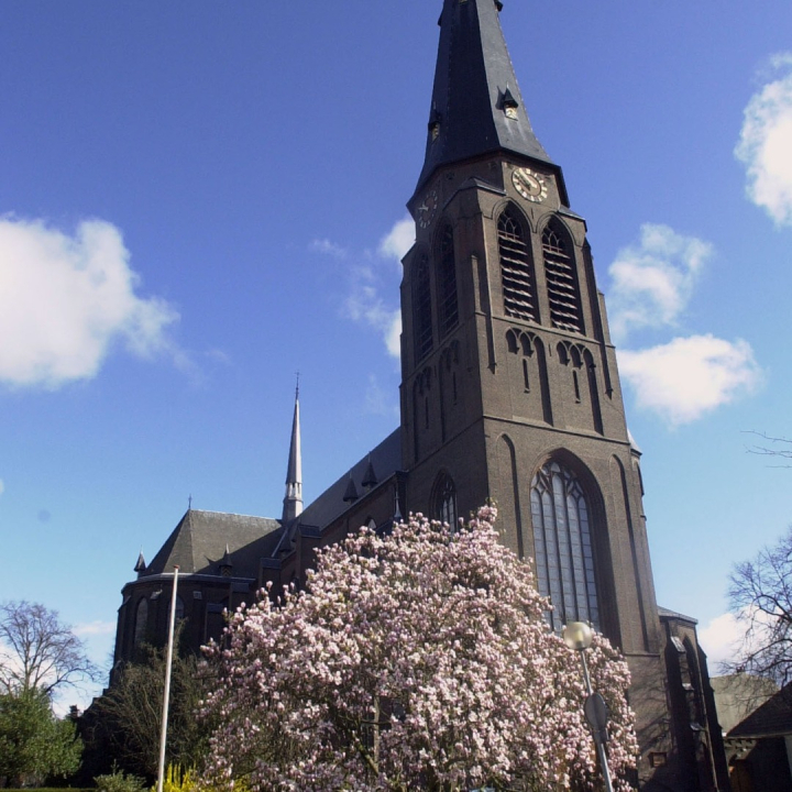 Georgiusbasiliek