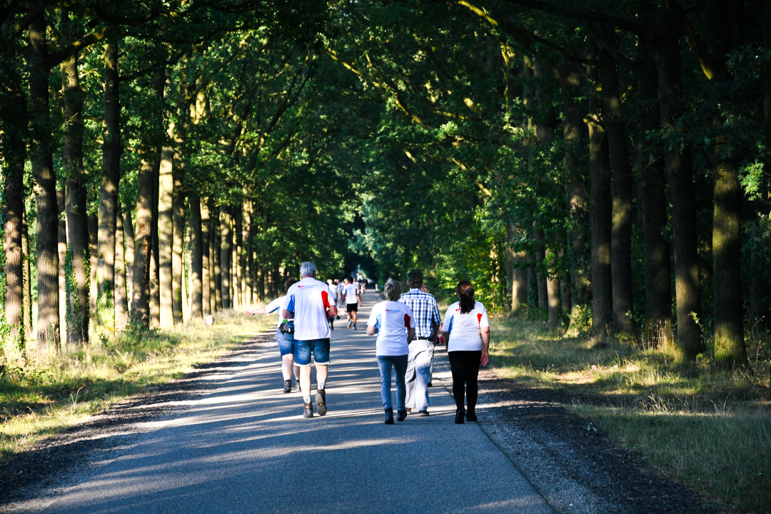 WAndelen