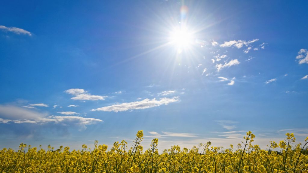 Volop zon en temperaturen richting 29 graden: Almelo krijgt zomerse week