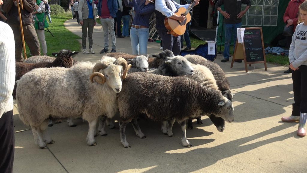 Lentefair in Doepark de Hagen: groen, muziek en gezelligheid voor het hele gezin