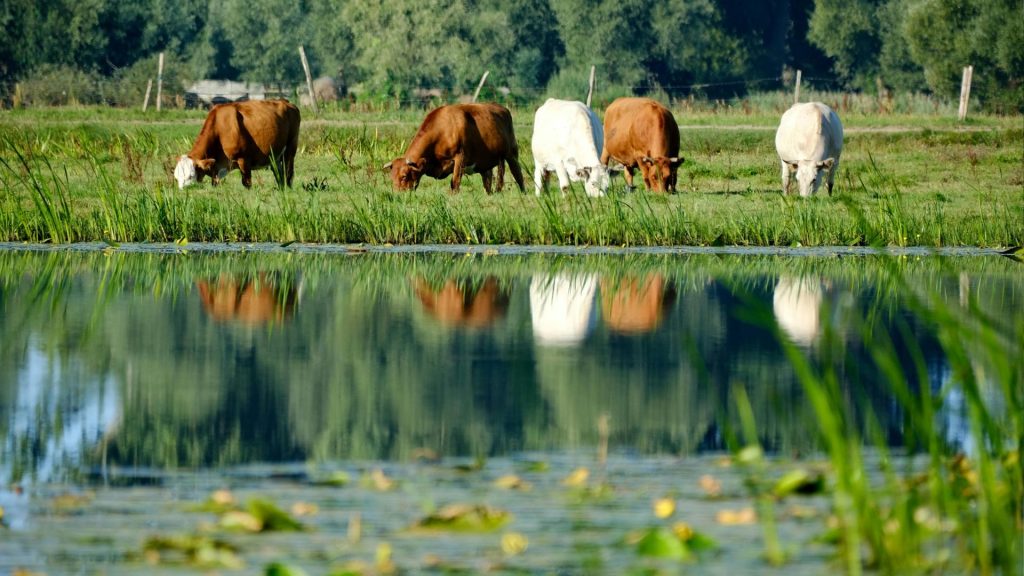 Waterschap Vechtstromen wil strengere regels voor grondwater