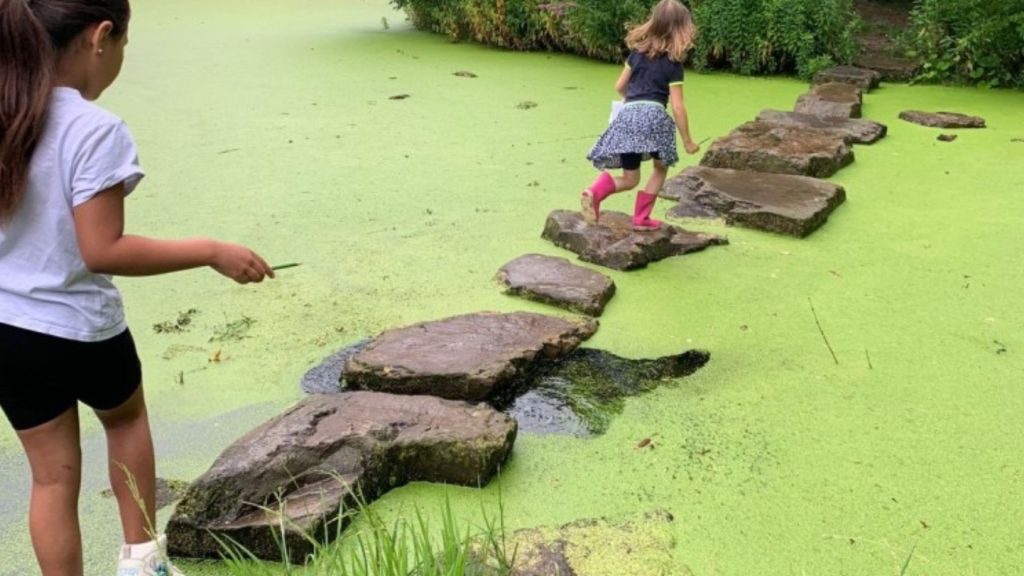 Ontdek het mysterie van het Doepark in Almelo