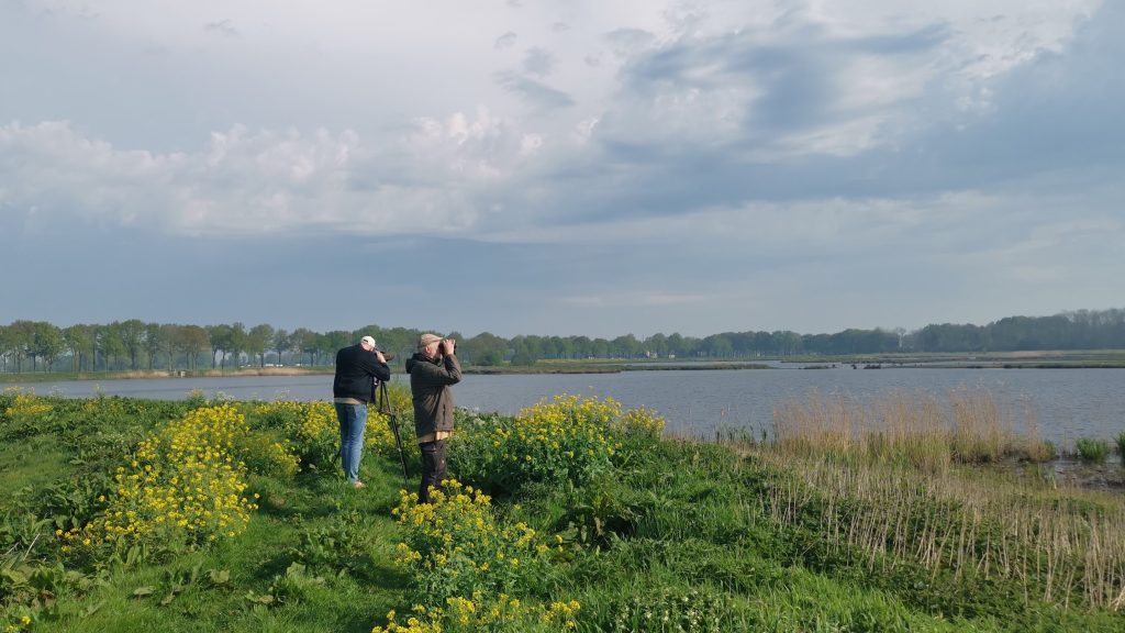 Vogelexcursie IVN naar Zuidlaardermeer