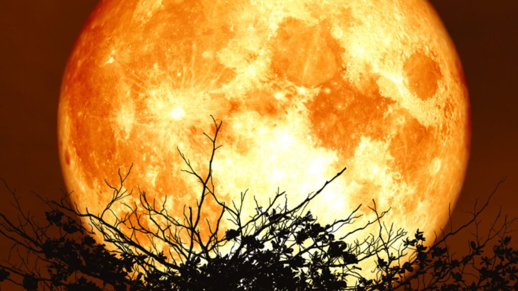Bijzondere Steurmaan boven Almelo: maan kleurt mogelijk rood tijdens verduistering