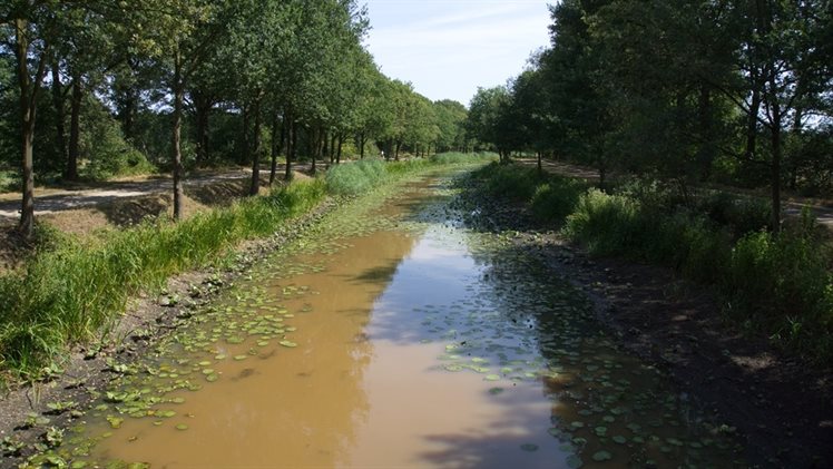 Droogte houdt aan in Twente: wateraanvoer via Aadorp blijft voorlopig voldoende